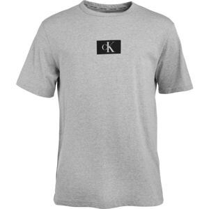 Calvin Klein ´96 GRAPHIC TEES-S/S CREW NECK Pánské tričko, šedá, velikost XL