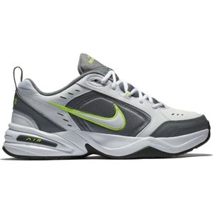 Nike AIR MONACH IV TRAINING šedá 7.5 - Pánská tréninková obuv