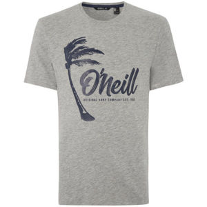 O'Neill LM PALM GRAPHIC T-SHIRT šedá S - Pánské tričko