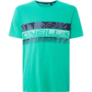 O'Neill LM PUAKU T-SHIRT Pánské tričko, Světle zelená,Černá, velikost S