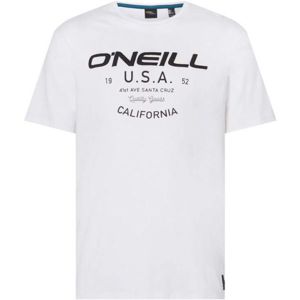 O'Neill LM DAWSON T-SHIRT bílá S - Pánské tričko