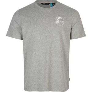 O'Neill CIRCLE SURFER T-SHIRT Pánské tričko, šedá, velikost L
