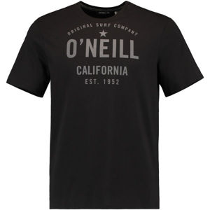 O'Neill LM OCOTILLO T-SHIRT Pánské tričko, šedá, velikost M