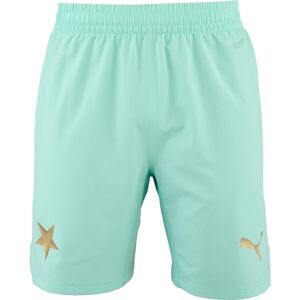 Puma SKS Shorts Promo Pánské fotbalové šortky, tyrkysová, velikost L